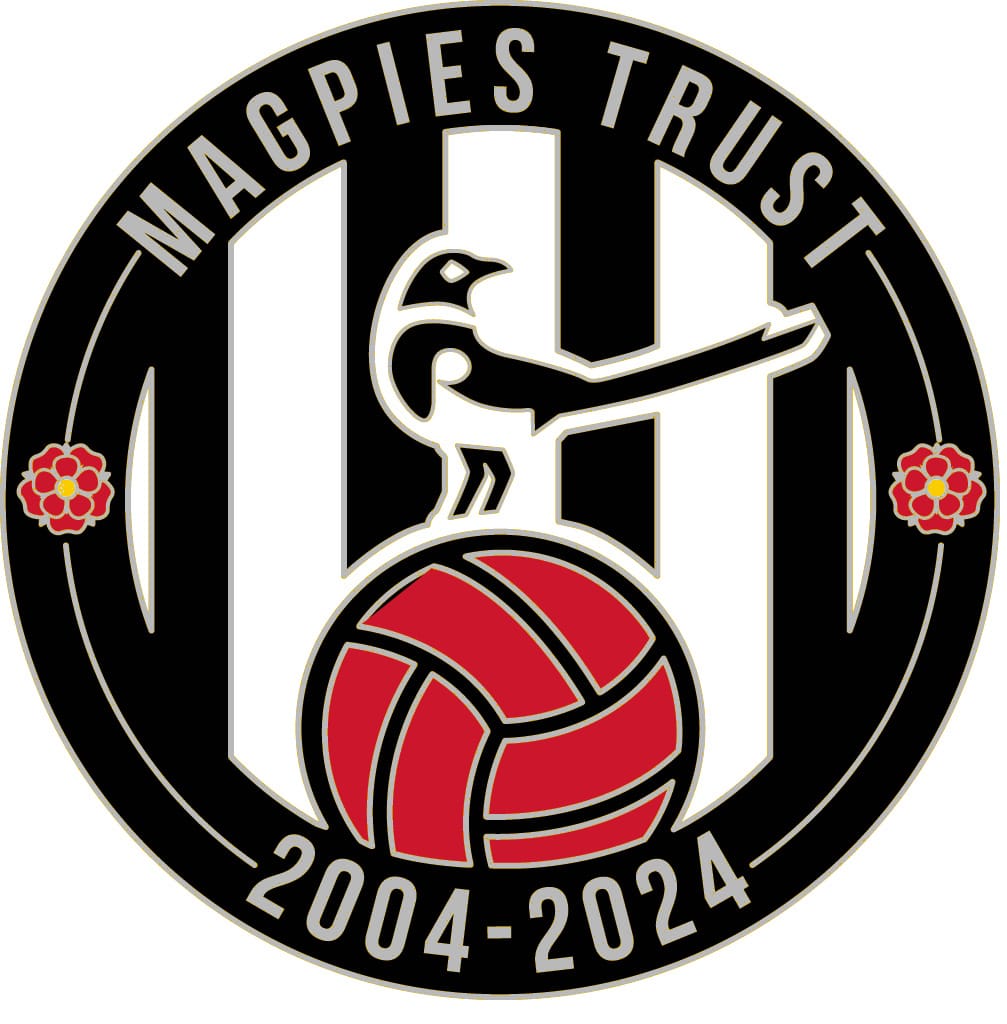 20th Anniversary Pin Badge