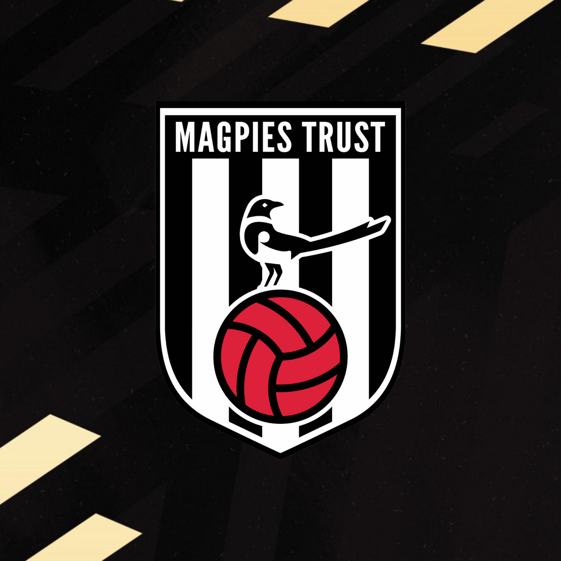 Magpies Trust Monthly Meetings